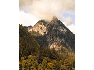 Der Grünstein