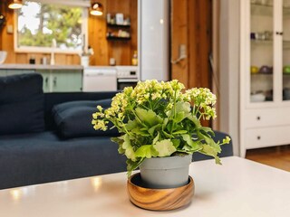 Casa per le vacanze Marielyst  12