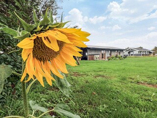 Ferienhaus Løkken  2