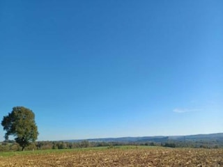 Casa de vacaciones Somme-Leuze Entorno 33