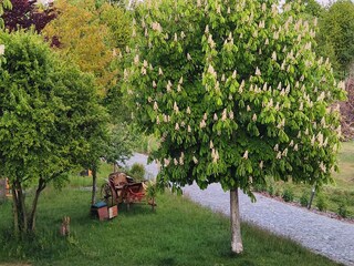 Appartamento Großharthau  25