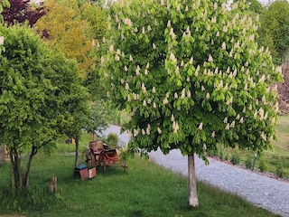 Appartement Großharthau  25