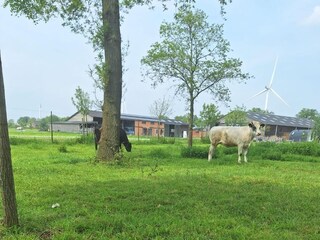 Ferienhaus Hilvarenbeek Außenaufnahme 7