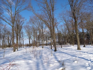 Maison de vacances Hilvarenbeek Environnement 18