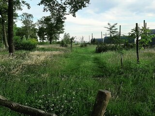 Casa per le vacanze Hilvarenbeek Ambiente 19