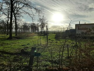Casa per le vacanze Hilvarenbeek  25