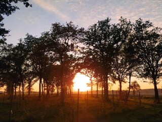 Vakantiehuis Hilvarenbeek Omgeving 20