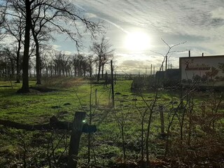 Vakantiehuis Hilvarenbeek  21