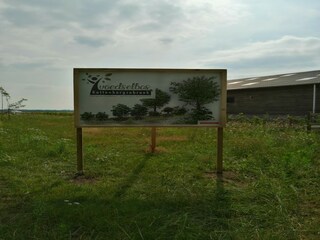 Ferienhaus Hilvarenbeek Außenaufnahme 6