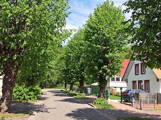 Idyllisch: Durch den Wald direkt zur Ostsee