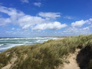 Ferienhaus Vorupør Umgebung 21