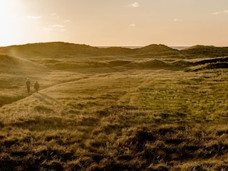 Ferienhaus Vorupør Umgebung 22