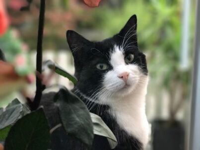 Firma Haus Oberland - Familie Katja und Otto Hort