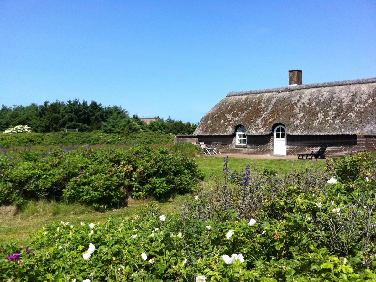 Casa de vacaciones Ulfborg Grabación al aire libre 1