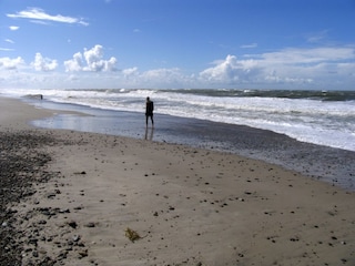 Strand Vedersø Klit