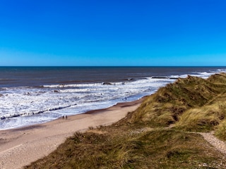 Dünen und Strand Vedersø Klit