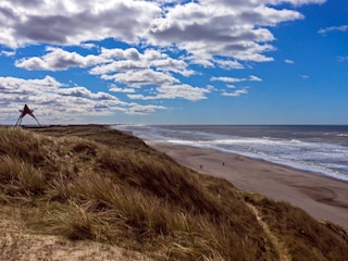 Dünen und Strand Vedersø Klit