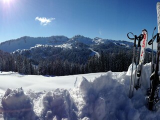 Panoramablick von der Käsehütte/Balderschwang