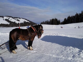 Appartamento per vacanze Balderschwang Ambiente 25