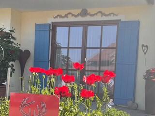 Appartamento per vacanze Balderschwang Registrazione all'aperto 5