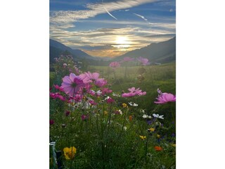 Herbst an Barbaras Landhaus tolle Aussicht