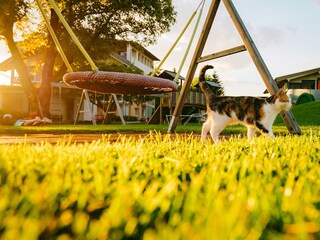 Appartamento Faak am See Registrazione all'aperto 11