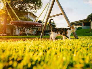 Appartamento per vacanze Faak am See Ambiente 22