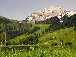 Bungalow Faak am See Environnement 16