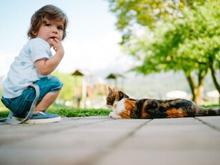 Mit Streichelkatze Lucky unterwegs