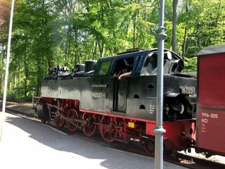 Unbedingt empfehlenswert-  eine Mitfahrt!