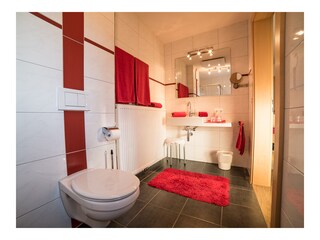 Appartamento per vacanze Grän Caratteristiche 24