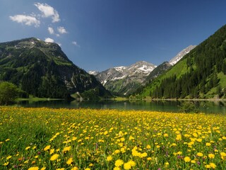 Appartamento per vacanze Grän Ambiente 32