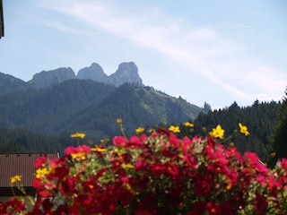 Appartamento per vacanze Grän Caratteristiche 30