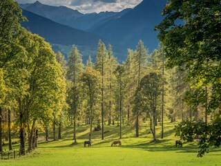 Apartamento de vacaciones Ramsau am Dachstein Características 21