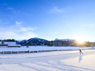 Vakantieappartement Ramsau am Dachstein Buitenaudio-opname 7