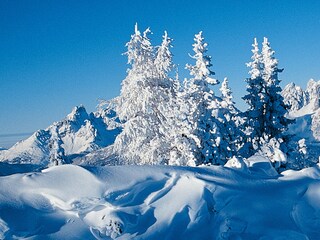 Appartamento per vacanze Ramsau am Dachstein Caratteristiche 28