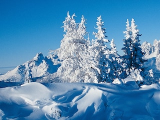 Vakantieappartement Ramsau am Dachstein Kenmerken 28