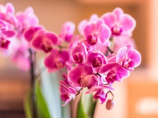 Vakantieappartement Ramsau am Dachstein Kenmerken 12