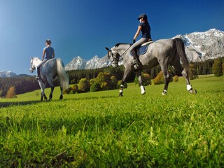 Vakantieappartement Ramsau am Dachstein Omgeving 31