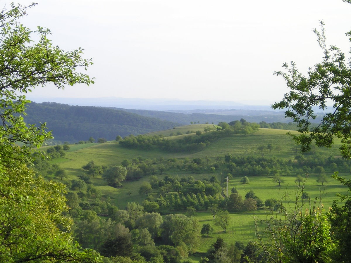 Aussicht ins Markgräfler Hügelland