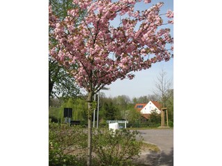 Appartamento per vacanze Altfriesack Ambiente 18