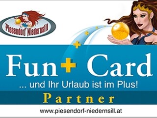 Appartamento per vacanze Niedernsill Documento 14