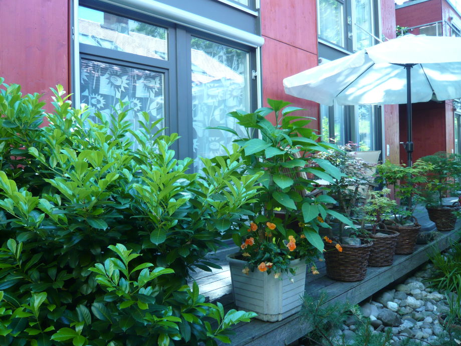 Ferienwohnung palmatum in der ahorn oase, baden württemberg ...