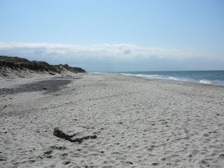 Zingster Strand im Frühjahr