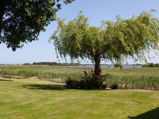 Blick auf den Bodden