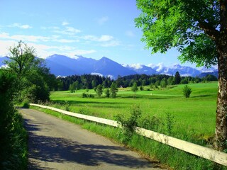 Wanderwege beginnen direkt am Haus