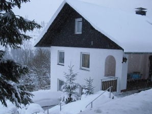 Ferienwohnung Ferienhaus Martel in Willingen - Willingen - image1