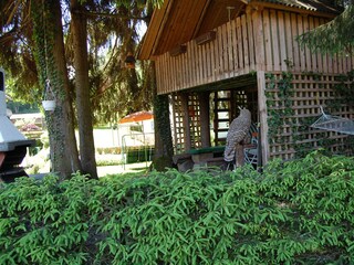 Holiday apartment Velden Environment 29