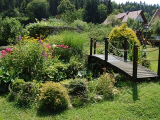 Biotop mit Brücke