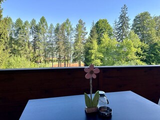 Balkon mit Seeblick